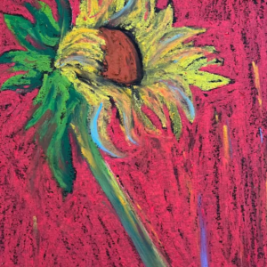 Nature & Floral Note Card Collection