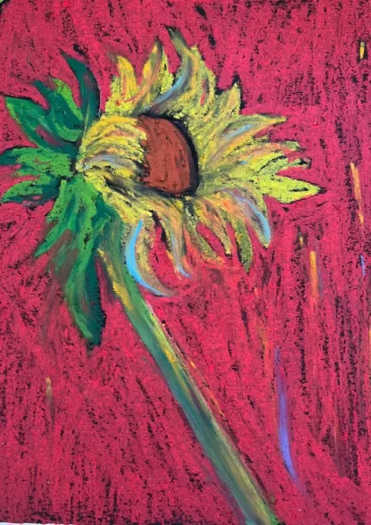 Nature & Floral Note Card Collection