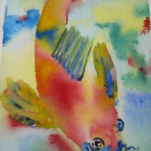 Animals Note Card Collection