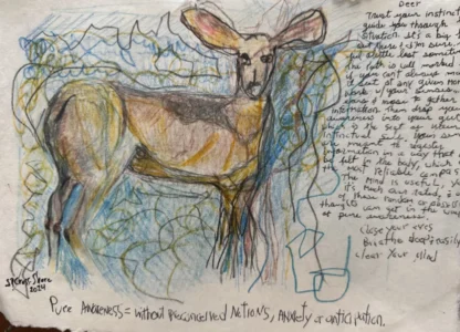 Animals Note Card Collection - Image 5